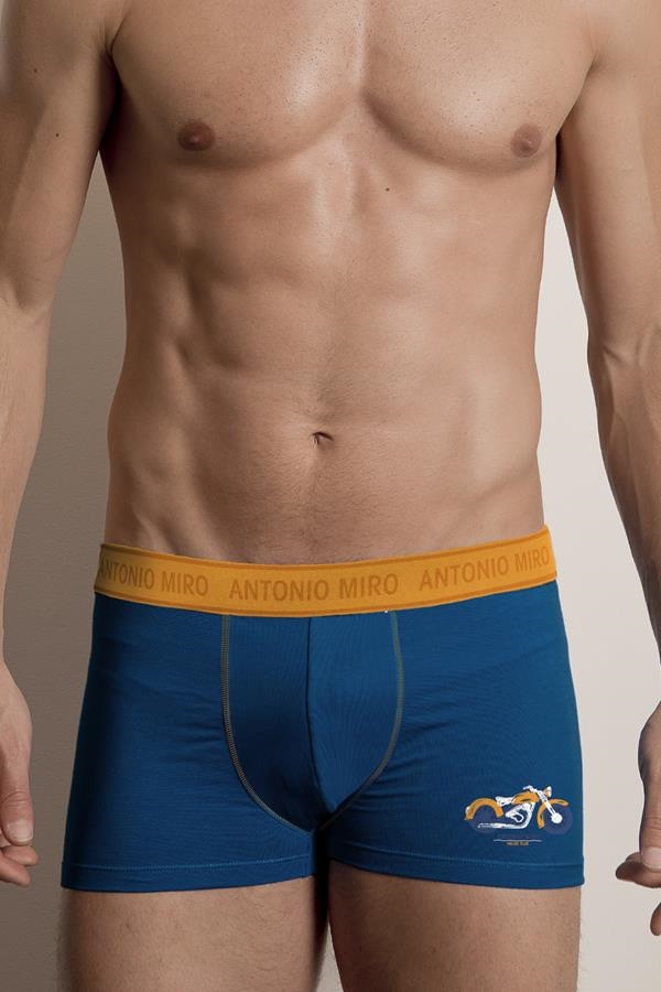 Bóxer Dreamteam | ANTONIO MIRO
